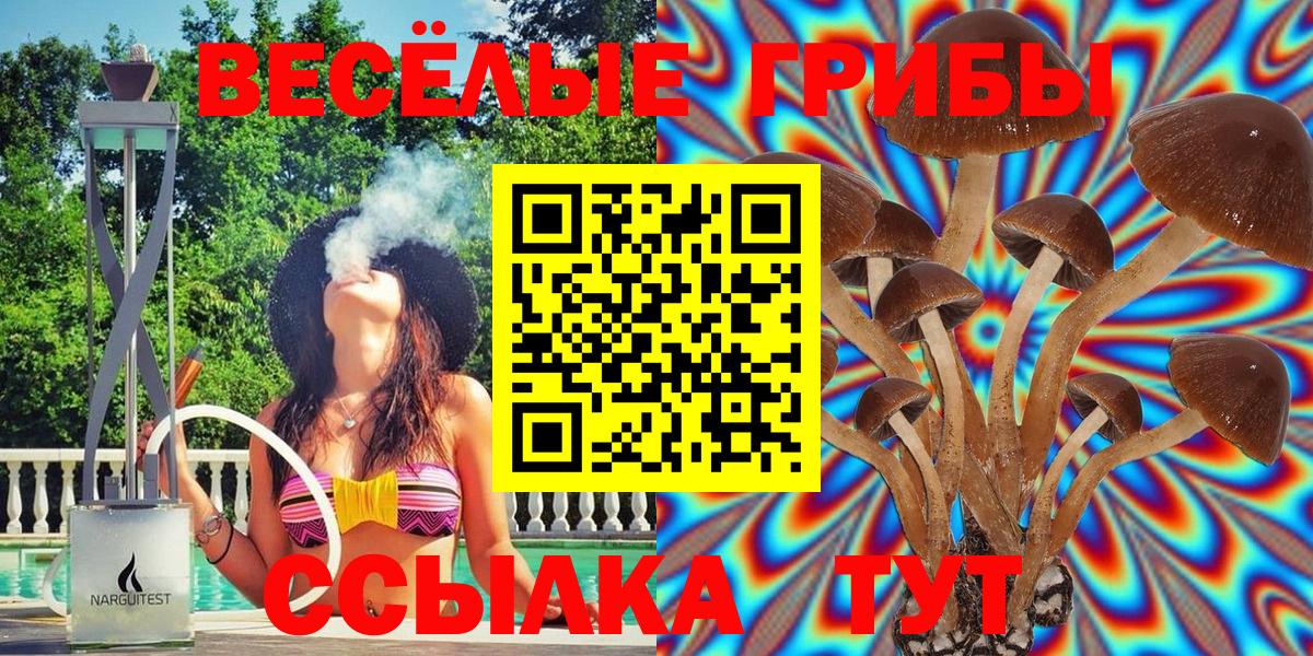 Псилоцибиновые грибы ЛСД Азов