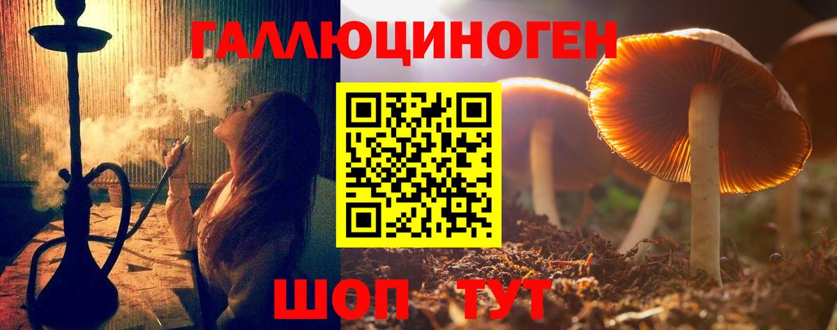 Псилоцибиновые грибы Psilocybine cubensis  Вход с VPN  Азов 